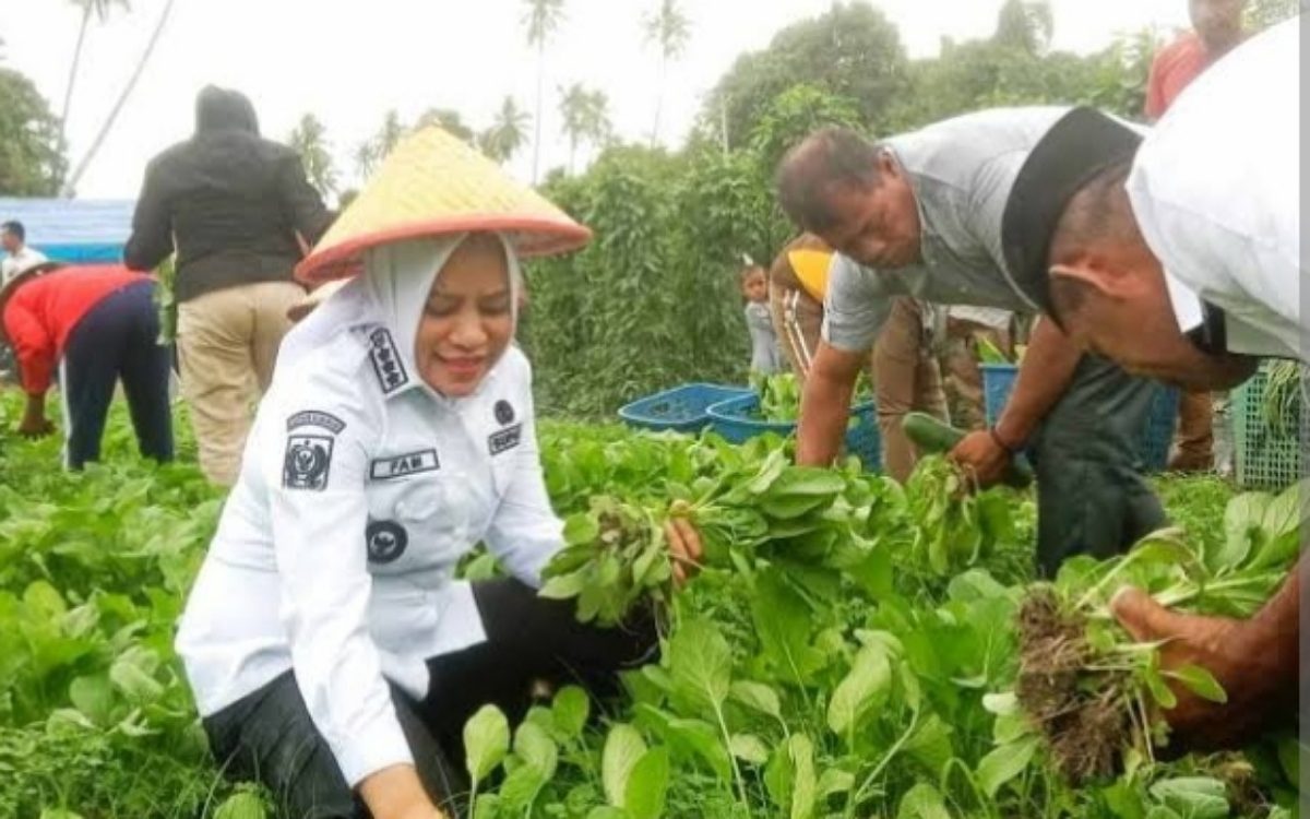 Bupati Fifian Hadiri Panen Raya Kelompok Tani Binaan Dinas Pertanian